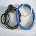 Export to Russia Wholesale Spring Energized Seals